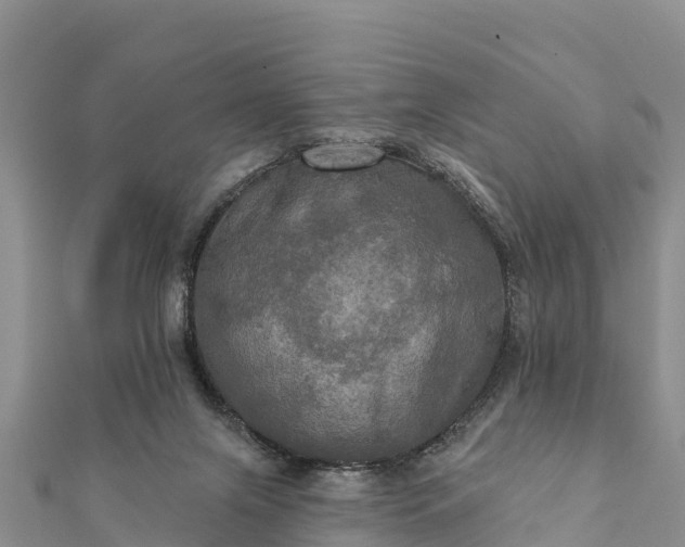 X0000112100071200908181335