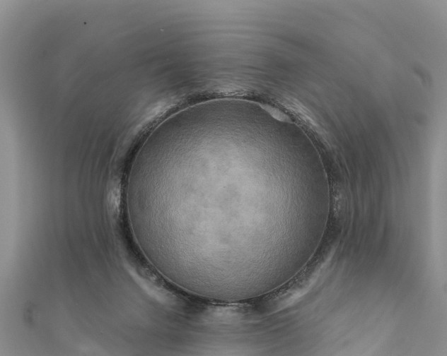 X0000112100072200908181335