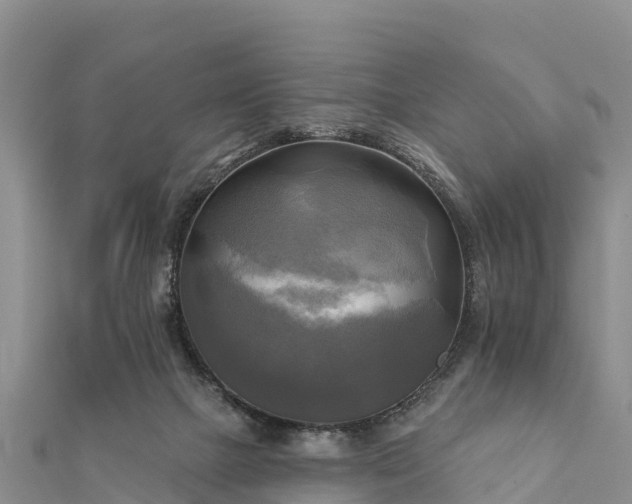 X0000112100073200908181335