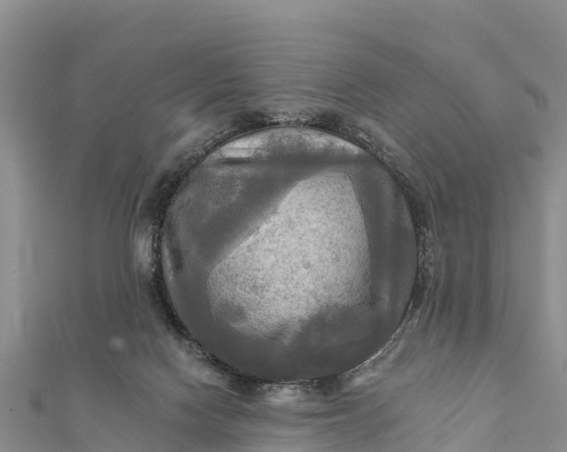 X0000112100074200908181335