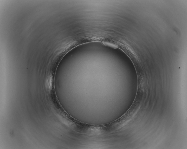 X0000112100076200908181335