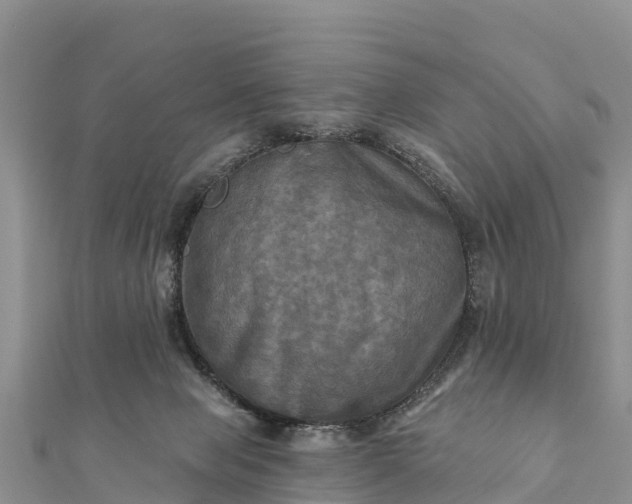 X0000112100077200908181335