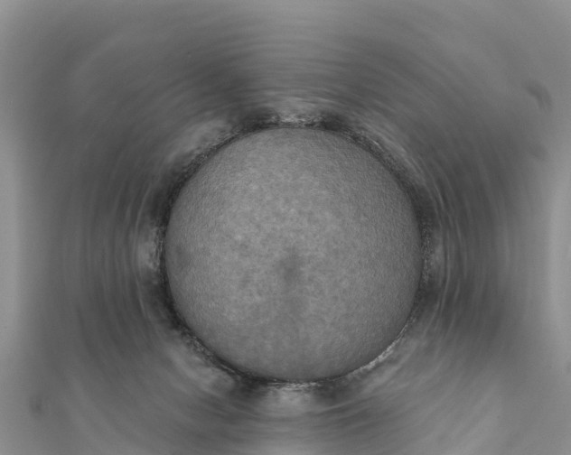 X0000112100078200908181335