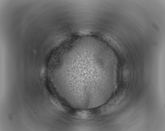 X0000112100079200908181335