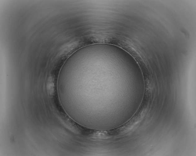 X0000112100080200908181335