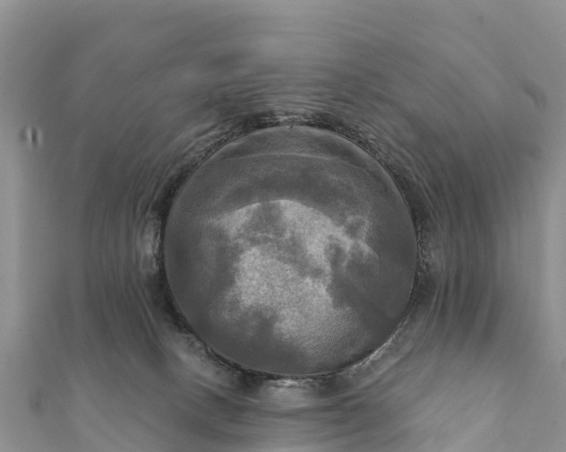 X0000112100082200908181335