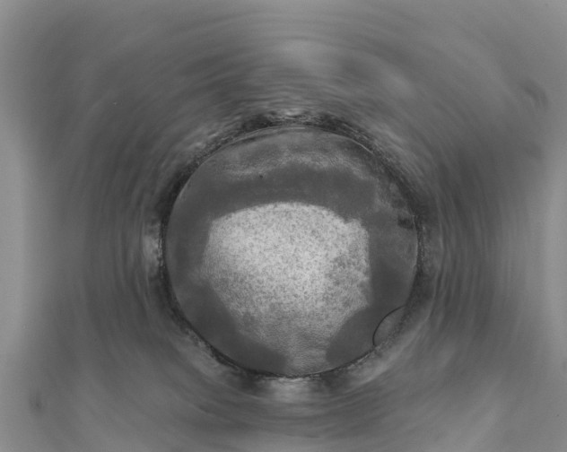 X0000112100085200908181335