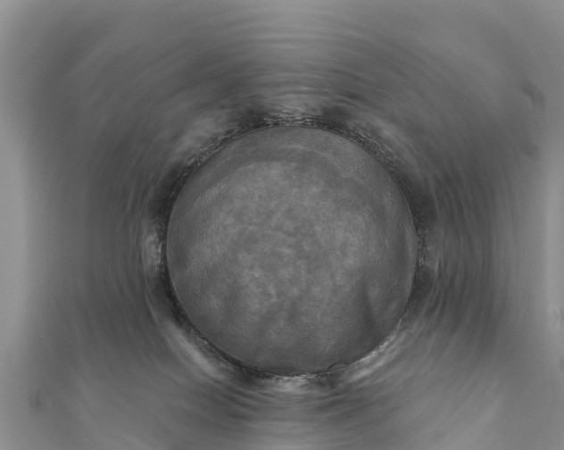 X0000112100086200908181335