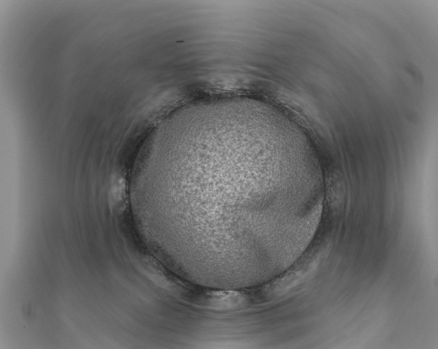 X0000112100087200908181335