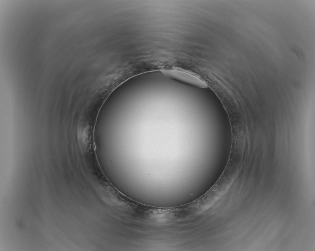 X0000112100088200908181335