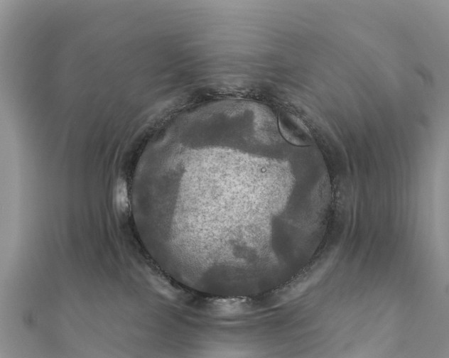 X0000112100089200908181335