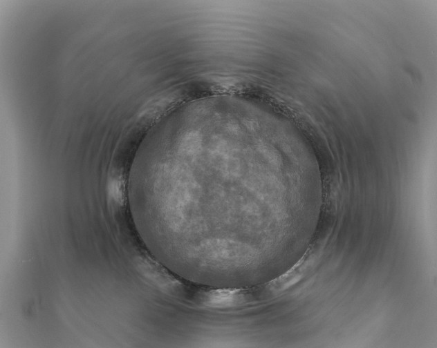 X0000112100090200908181335