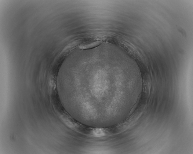 X0000112100091200908181335