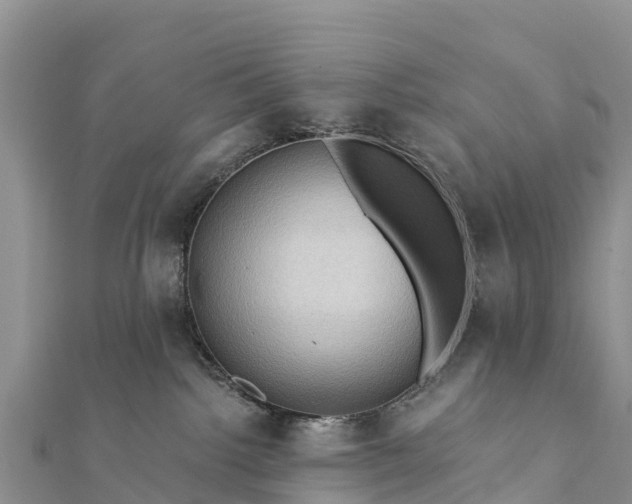 X0000112100092200908181335