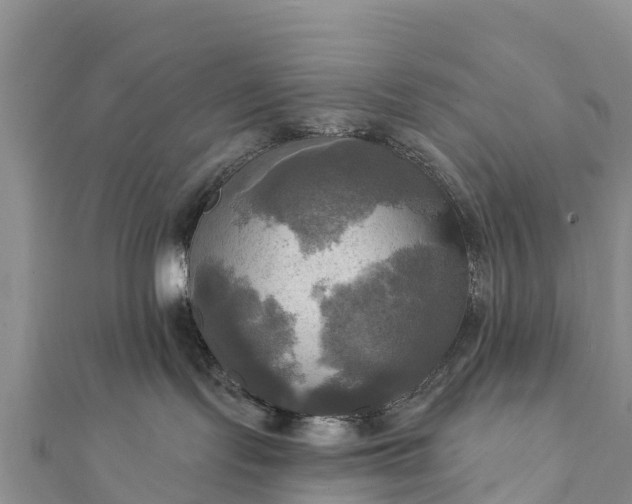 X0000112100095200908181335