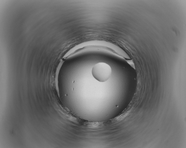 X0000112100096200908181335