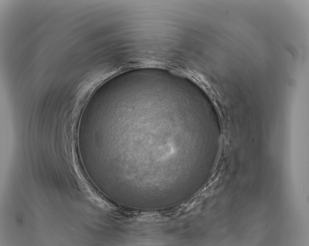 X0000112100097200908181334