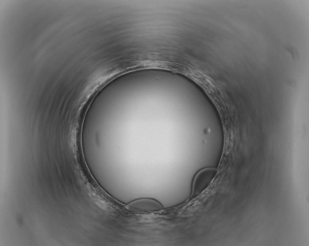 X0000112100098200908181334