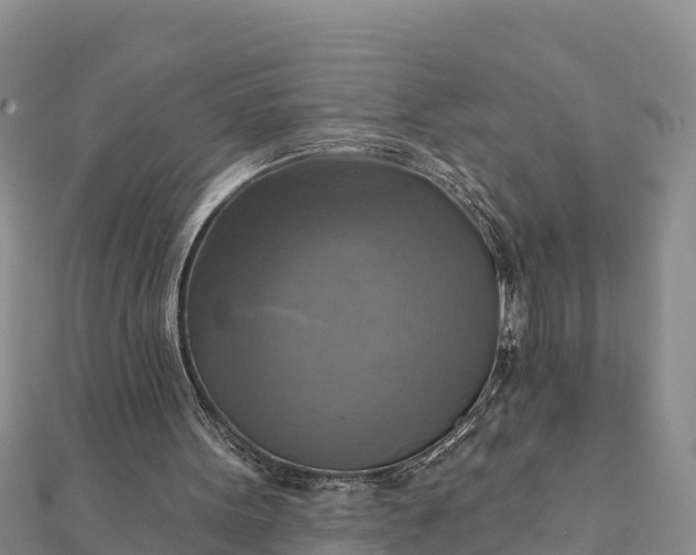 X0000112100099200908181334