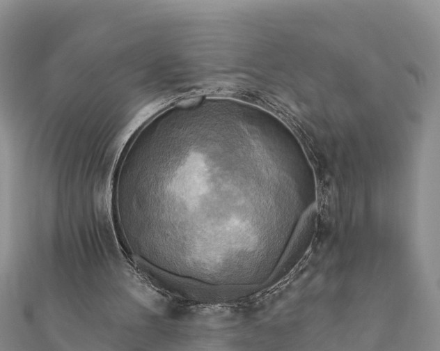 X0000112100100200908181334