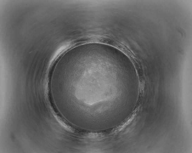 X0000112100101200908181334