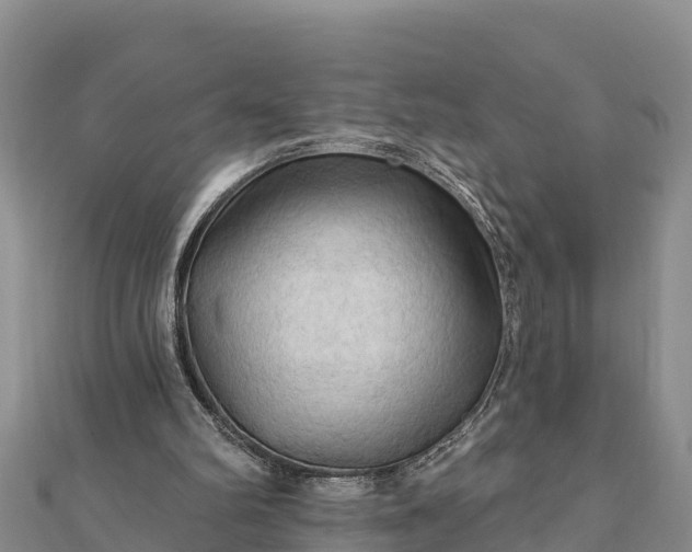 X0000112100102200908181334