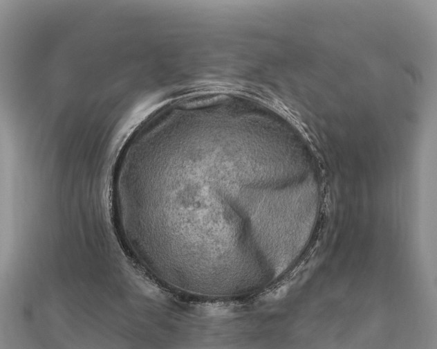 X0000112100103200908181334