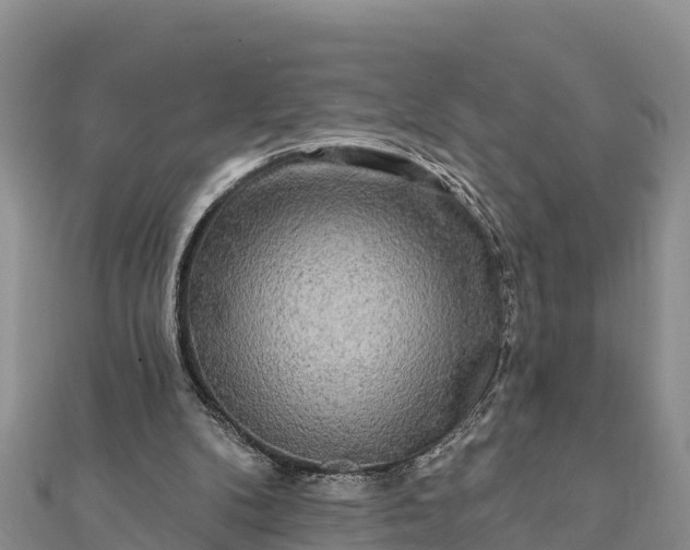 X0000112100104200908181334