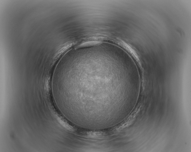 X0000112100105200908181334