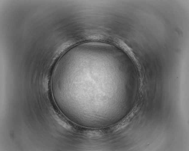 X0000112100106200908181334