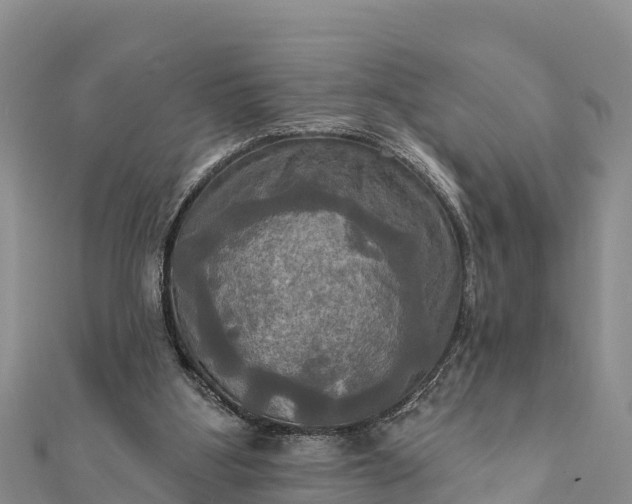 X0000112100107200908181334