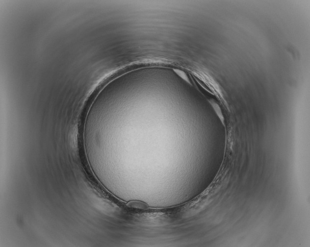 X0000112100108200908181334