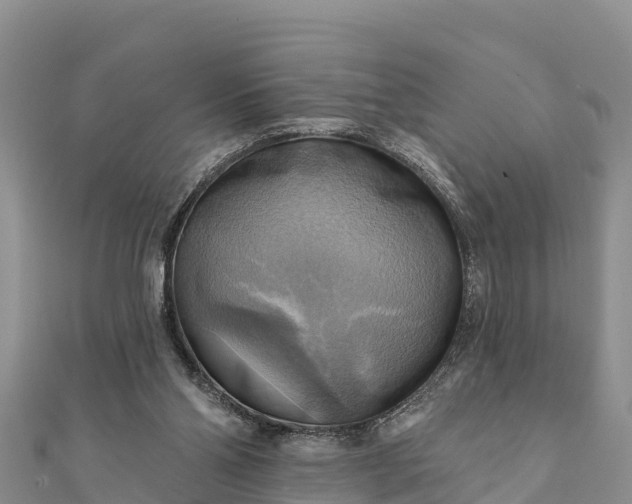 X0000112100110200908181334