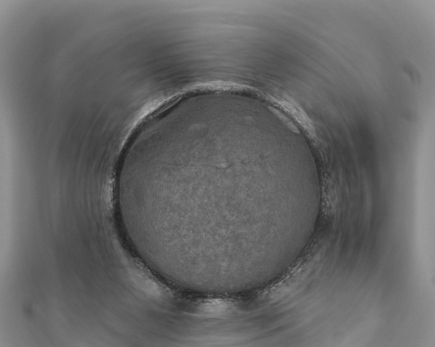 X0000112100111200908181334