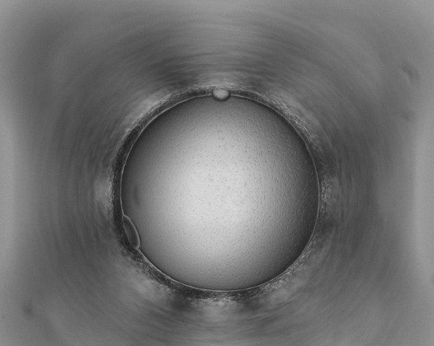 X0000112100112200908181334