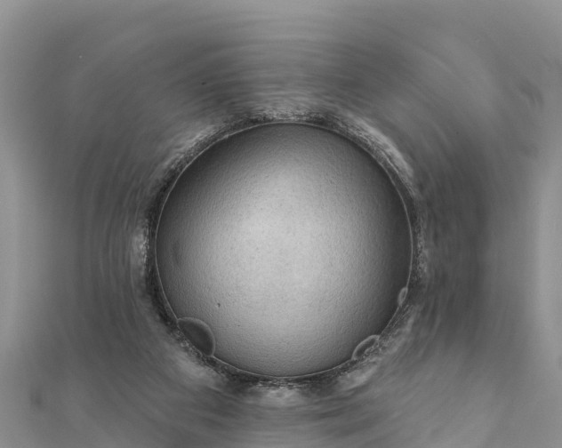 X0000112100113200908181334