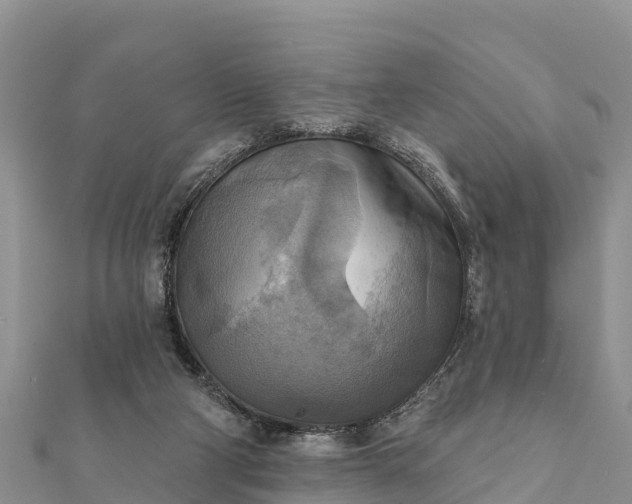 X0000112100114200908181334