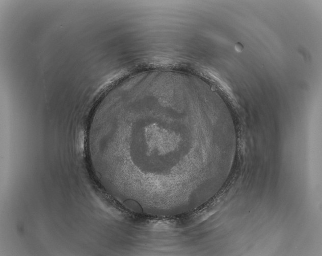 X0000112100115200908181334