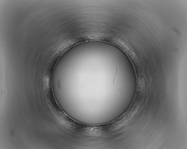 X0000112100117200908181334