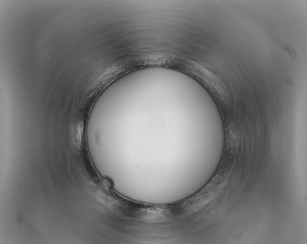 X0000112100118200908181334