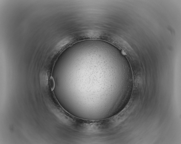 X0000112100120200908181334