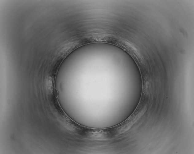 X0000112100121200908181334