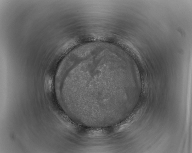 X0000112100123200908181334