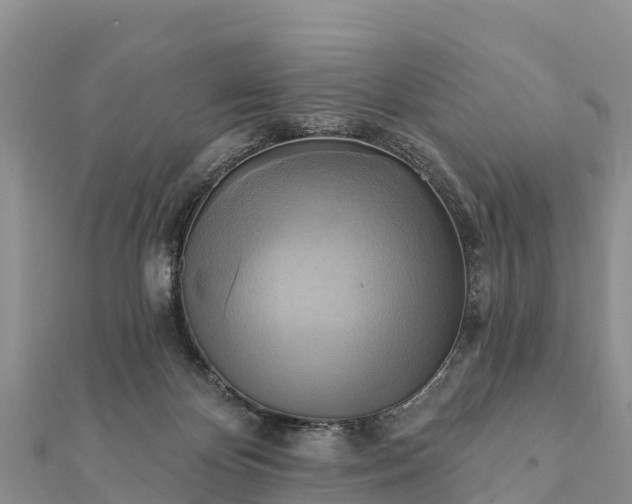 X0000112100124200908181334