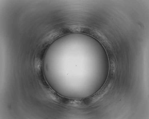 X0000112100125200908181334