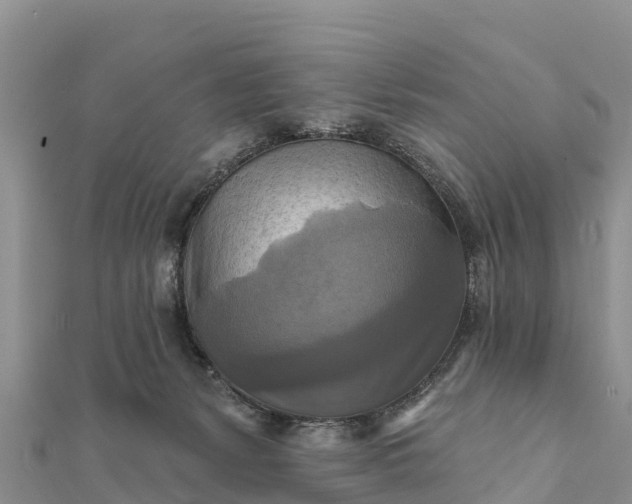 X0000112100127200908181334