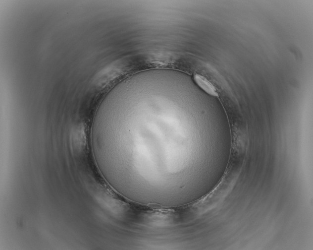 X0000112100128200908181334