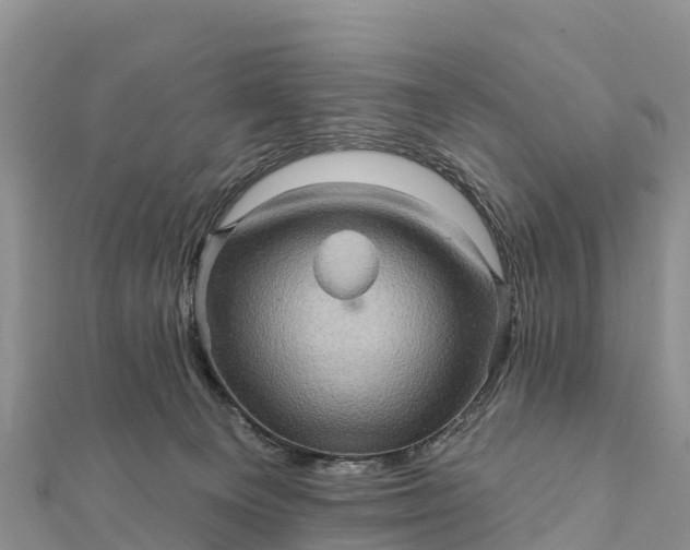 X0000112100129200908181334