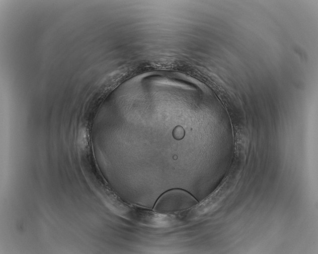 X0000112100130200908181334