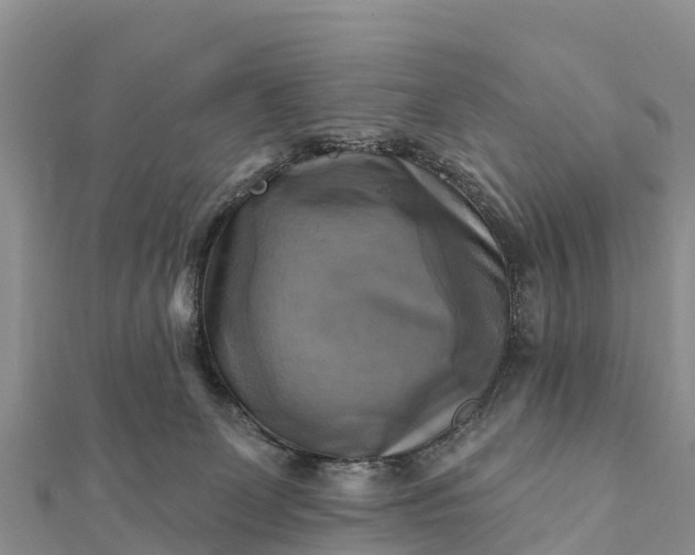 X0000112100131200908181334